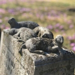 gallery lambs
